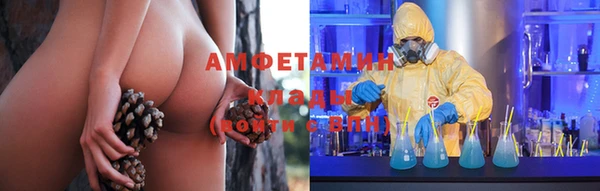 прущие грибы Баксан