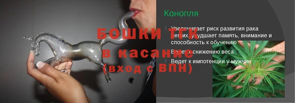 прущие грибы Баксан