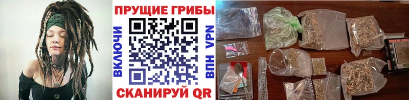Псилоцибиновые грибы мицелий  даркнет сайт  гидра ССЫЛКА  Киреевск 