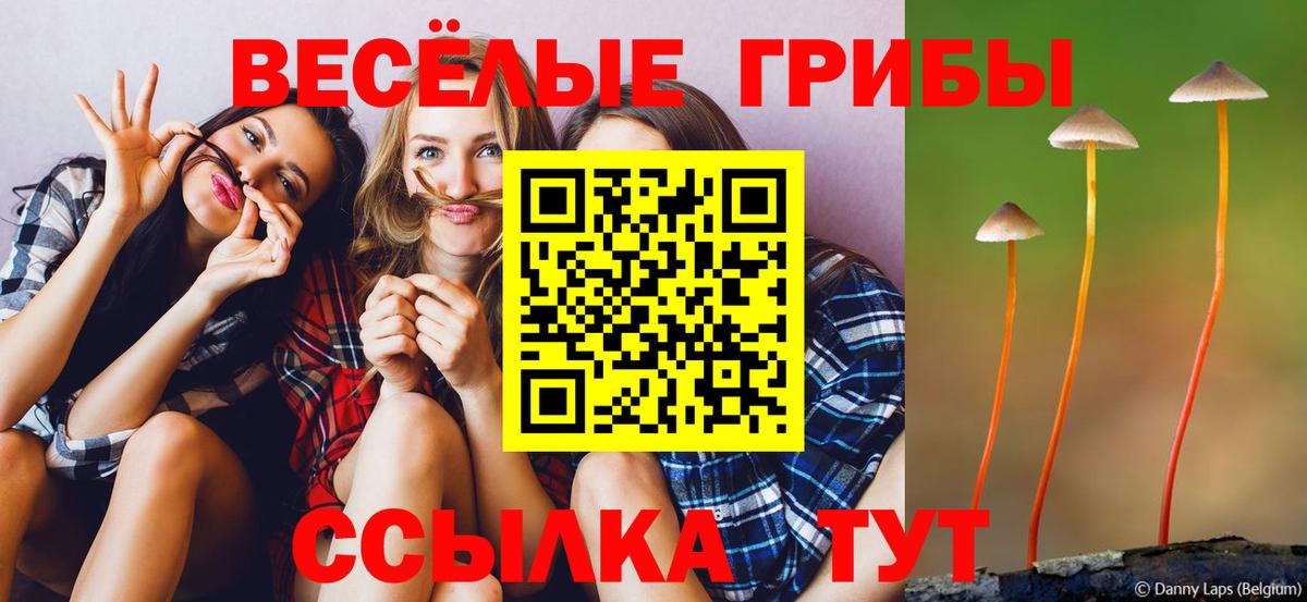 Псилоцибиновые грибы Psilocybe Киреевск