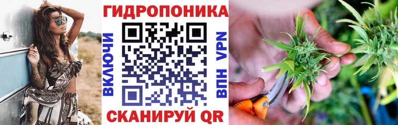 hydra вход  Киреевск  Шишки марихуана марихуана  купить закладку 